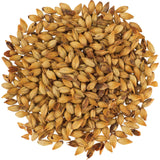 Brown Malt 60°L | Specialty Brewing Malt