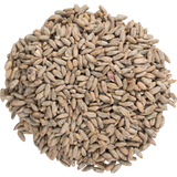 Rye Malt