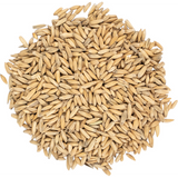 Oat Malt