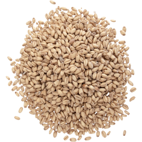 Great Western White Wheat Malt