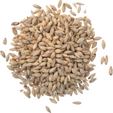 Great Western Munich Malt 10°L