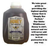 1 Gallon Nano-Meadery | Elderberry Honey Mead Recipe Refill Kit