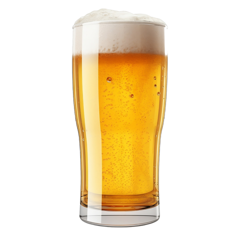 Thrilz 4 the Pilz 5 Gallon Beer Recipe Kit