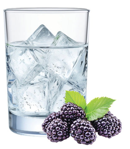 Blackberry Hard Seltzer Recipe Kit