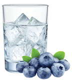 Blueberry Hard Seltzer Recipe Kit
