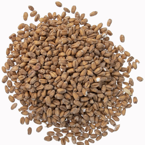 Red Wheat Malt