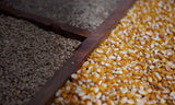 HomeBrewStuffMoonshine Blend Recipe - 80%cracked Corn, 10%rye, 10% Barley