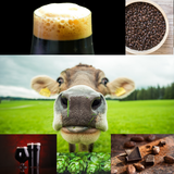 1 Gallon Nano-brew | Moo Moo Chocolate Milk Stout [Partial Mash] Recipe Kit