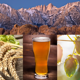 Sierra Crest Pale Ale Recipe Kit