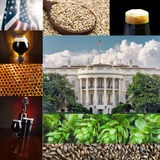 The White House Honey Porter Beer Kit