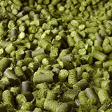 Santiam Pellet Hops